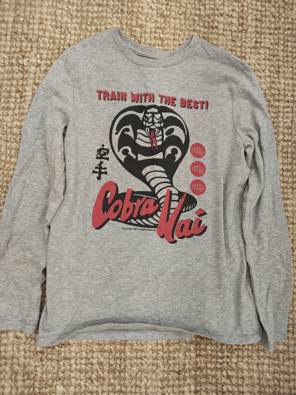 GAP Gray Cobra Kai Long Sleeve Tee with Red and Black Graphic